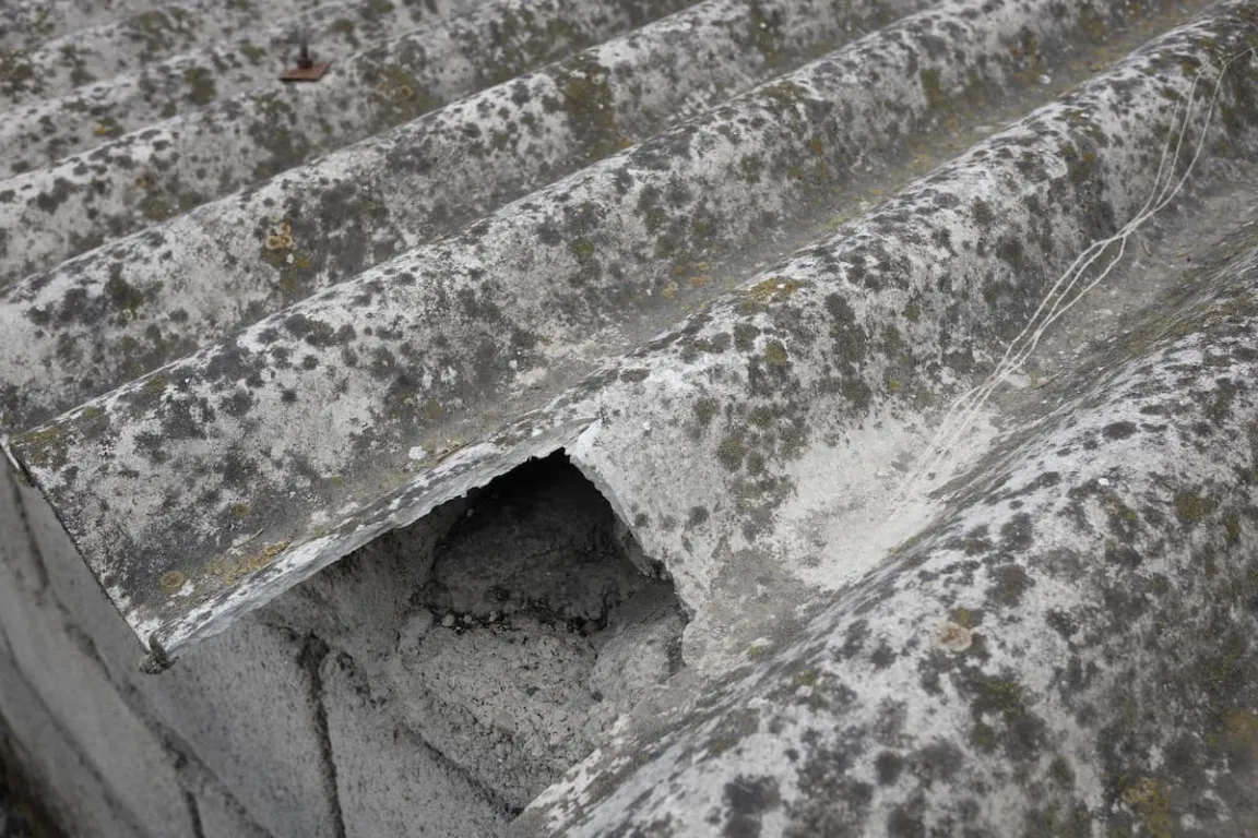 Atap dak beton bocor Atap dak beton bocor