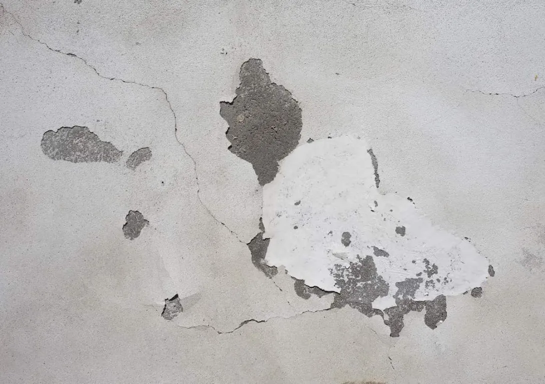 Blistering pada Tembok